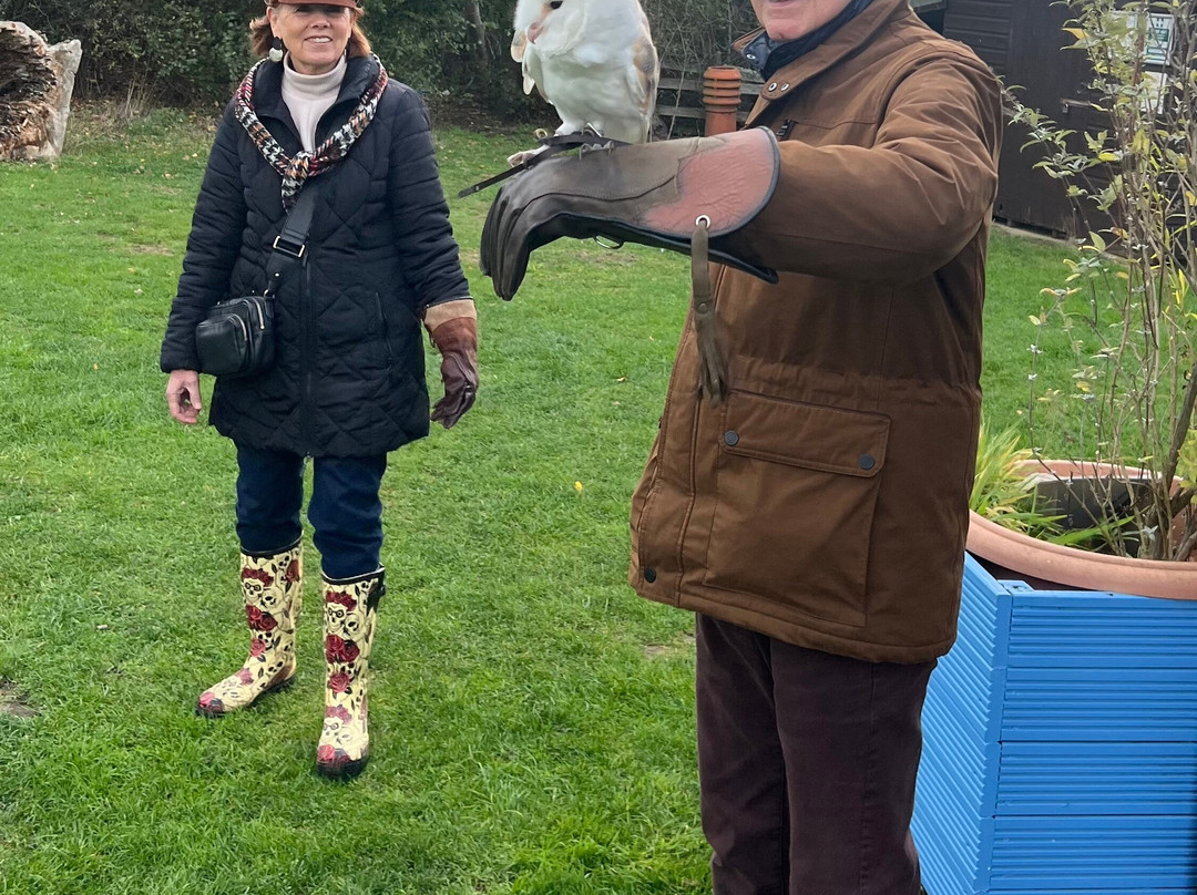 Feathers and Fur Falconry Centre-布拉克内尔必去景点