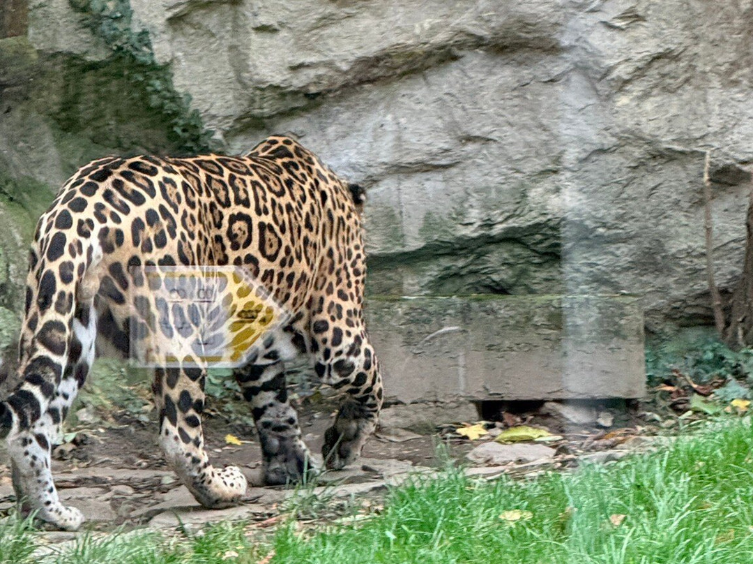 ZOO Bratislava-布拉迪斯拉发必去景点