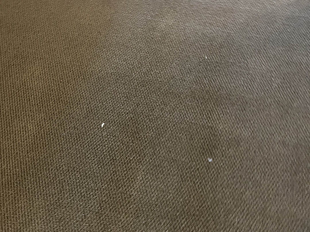 One Xalapa Las Animas主图