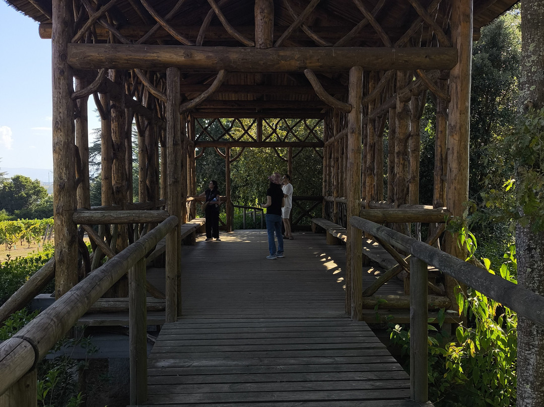 Santar Vila Jardim-Santar必去景点