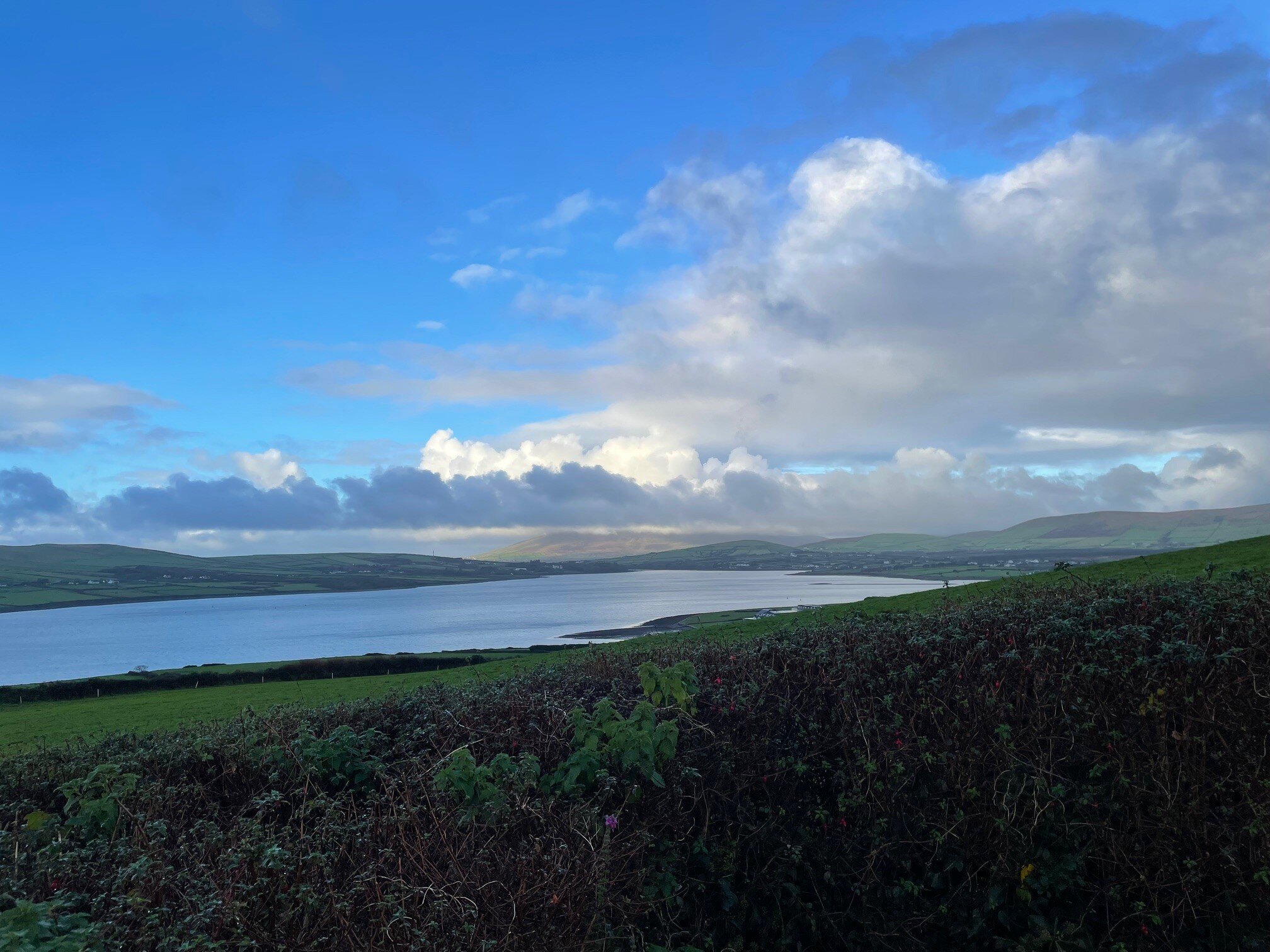 Pax Guest House-酒店景观