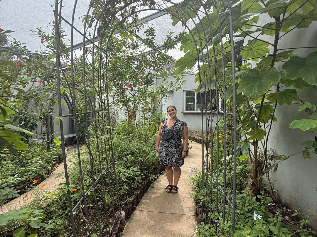 Jardin Botanico de Santiago-圣地亚哥必去景点