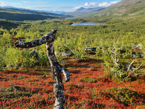 Salamapaja-奥卢必去景点