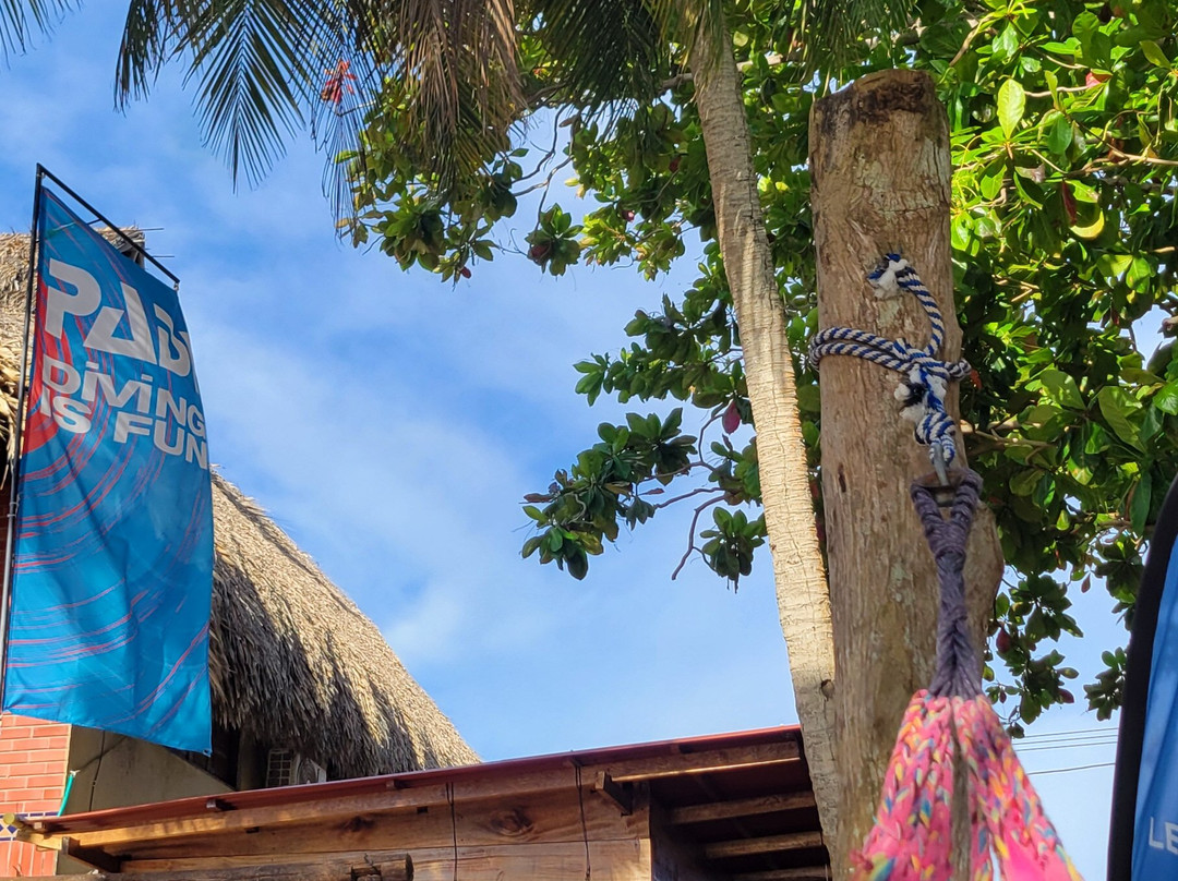 Aquarius Diving Club-Rincon del Mar必去景点