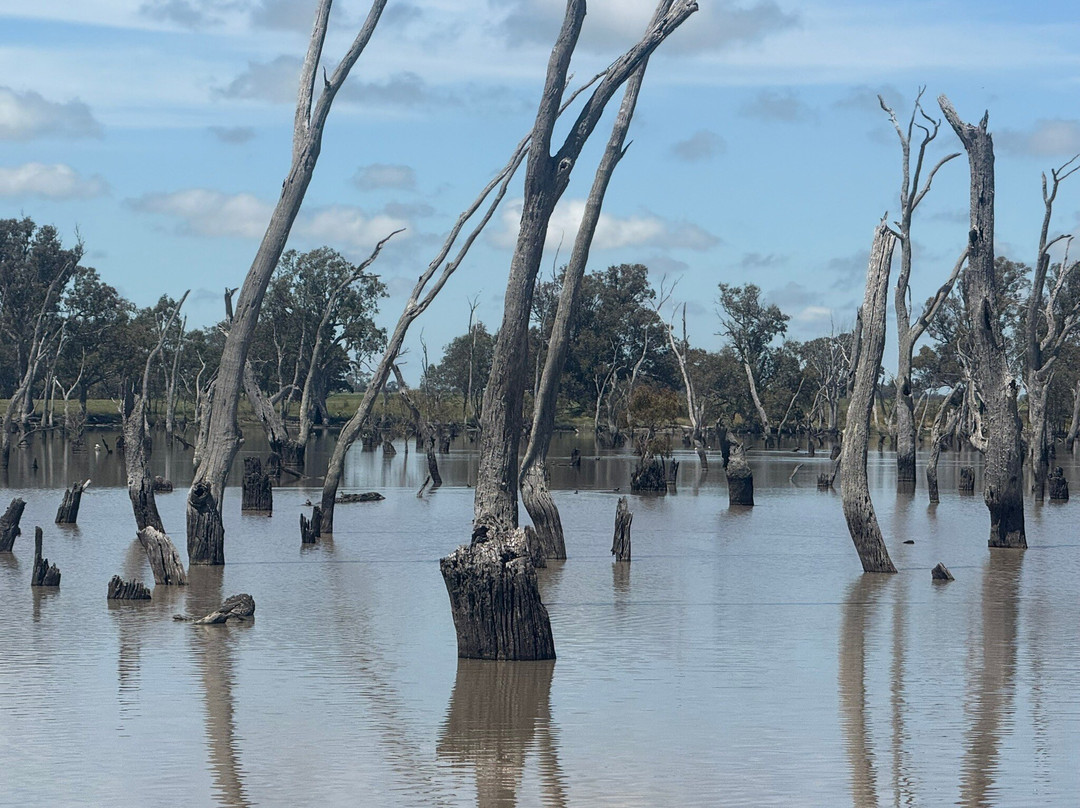 Mullinger Swamp-Kybybolite必去景点