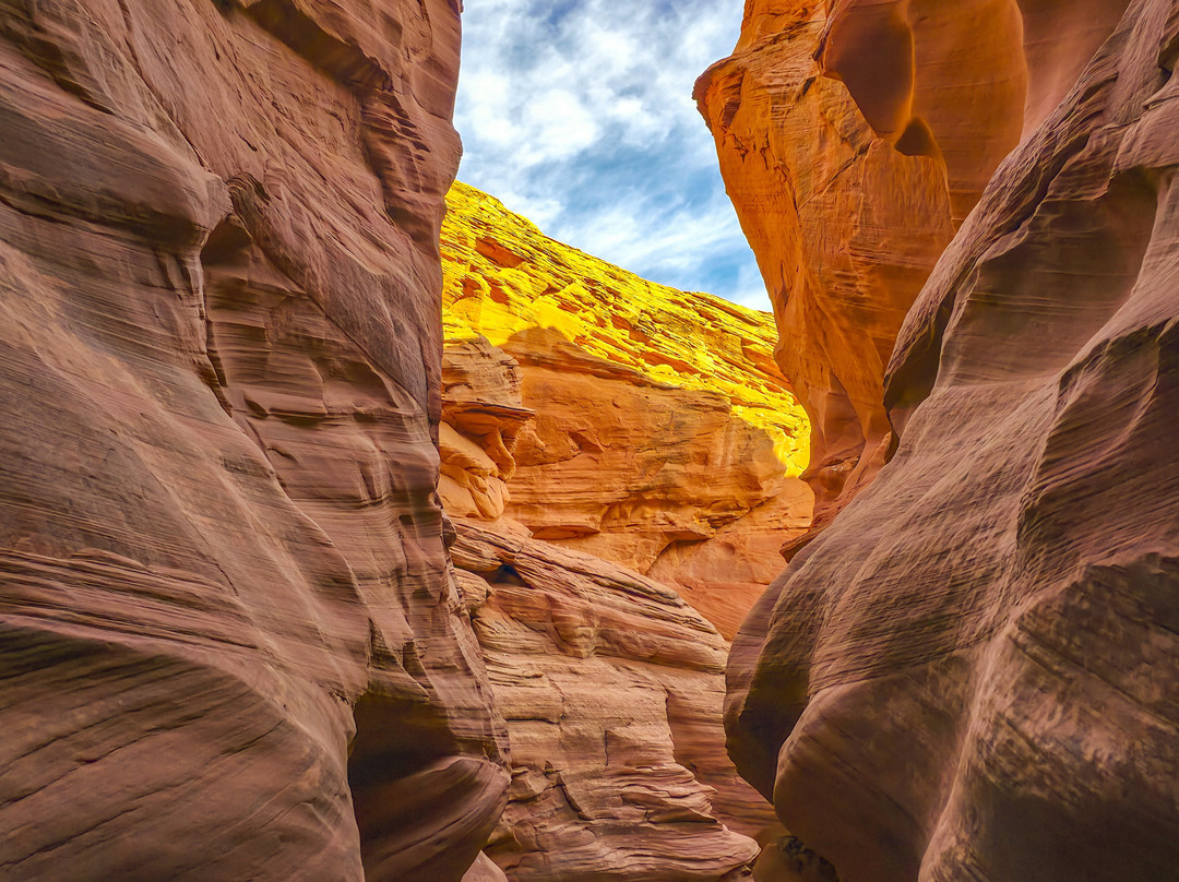 Black Streak Canyon Tours-佩吉必去景点