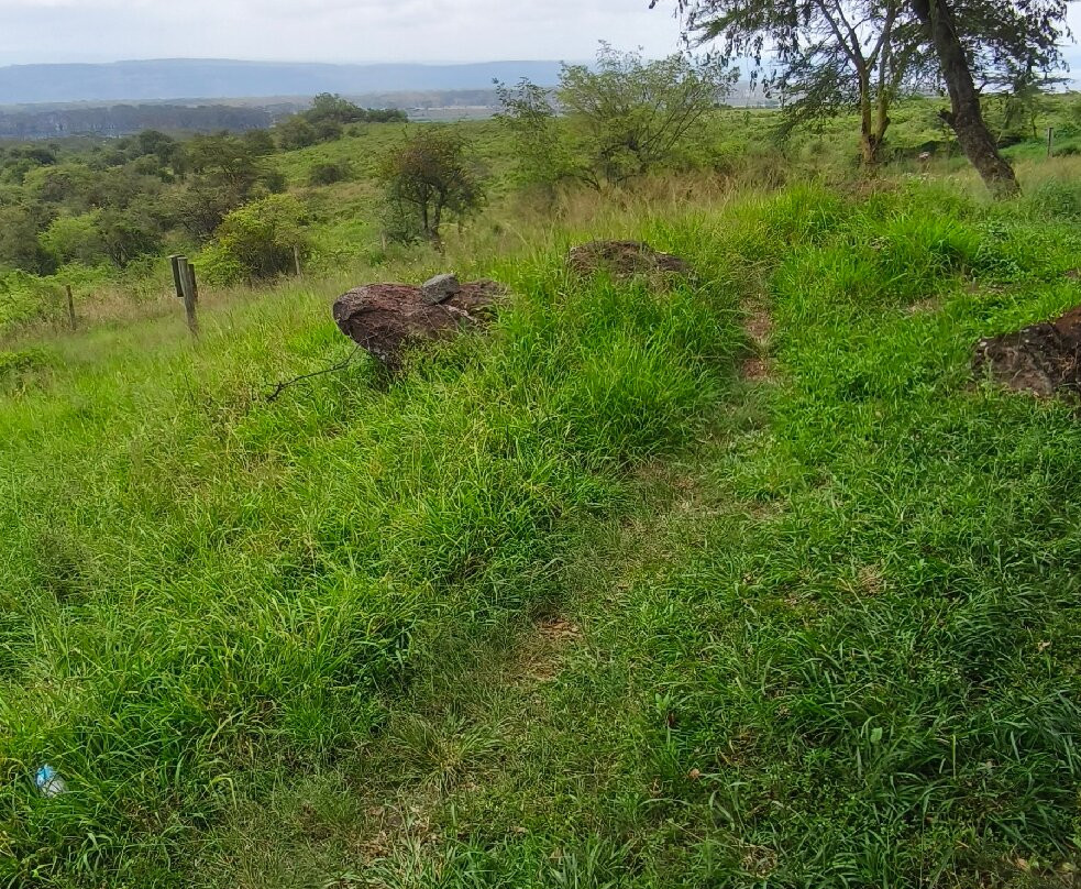 Lake Nakuru Lodge主图