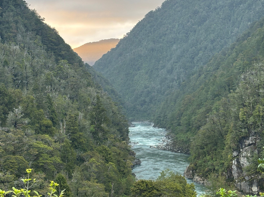 The Old Ghost Road-韦斯特波特必去景点