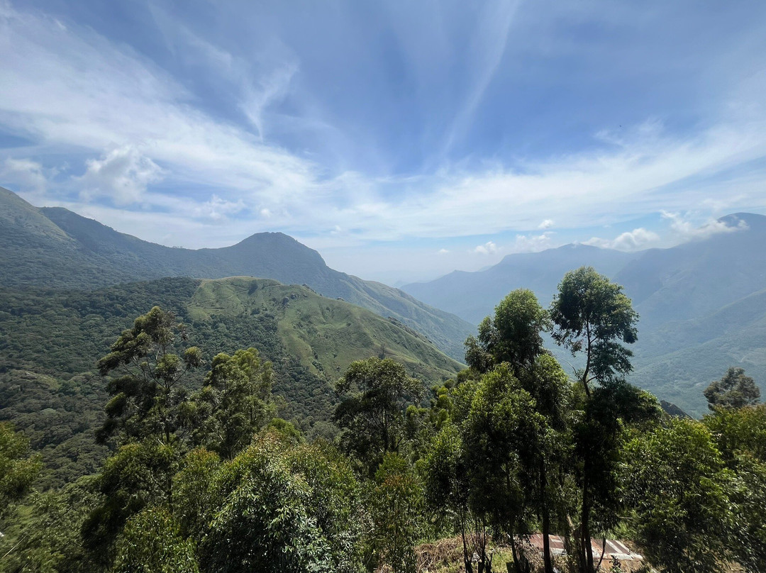 Munnar Info-慕那尔必去景点