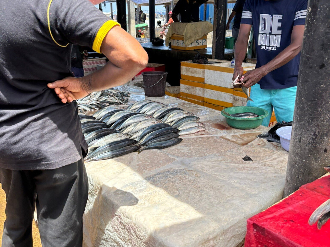 Negombo Fish Market-尼甘布必去景点