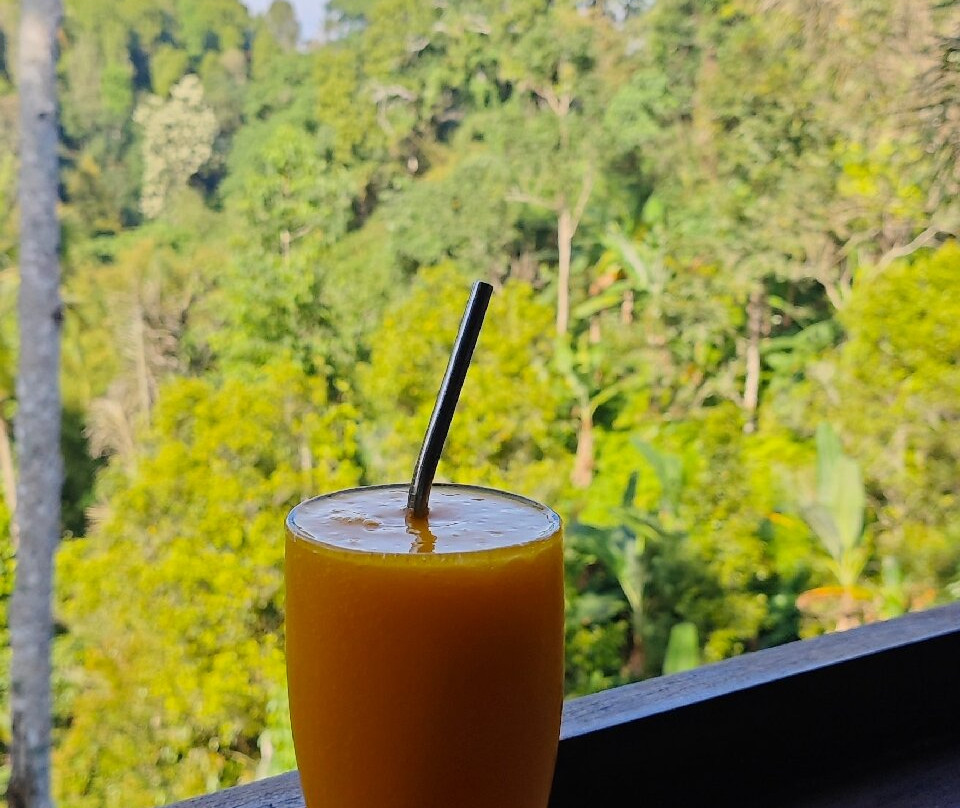 Nadira Bali Villa主图