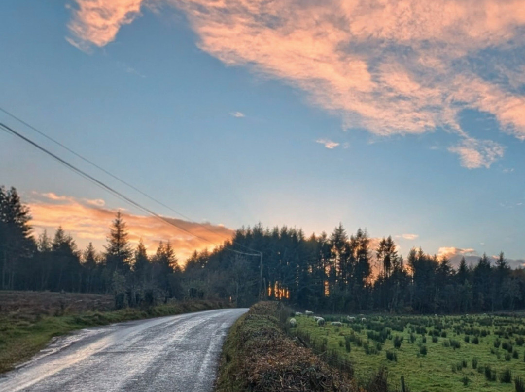 PRO Transfers Dublin-都柏林必去景点