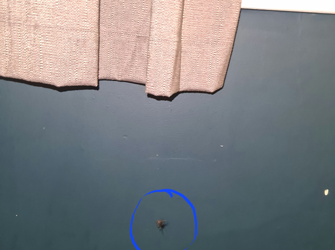 Travelodge Reading Whitley主图