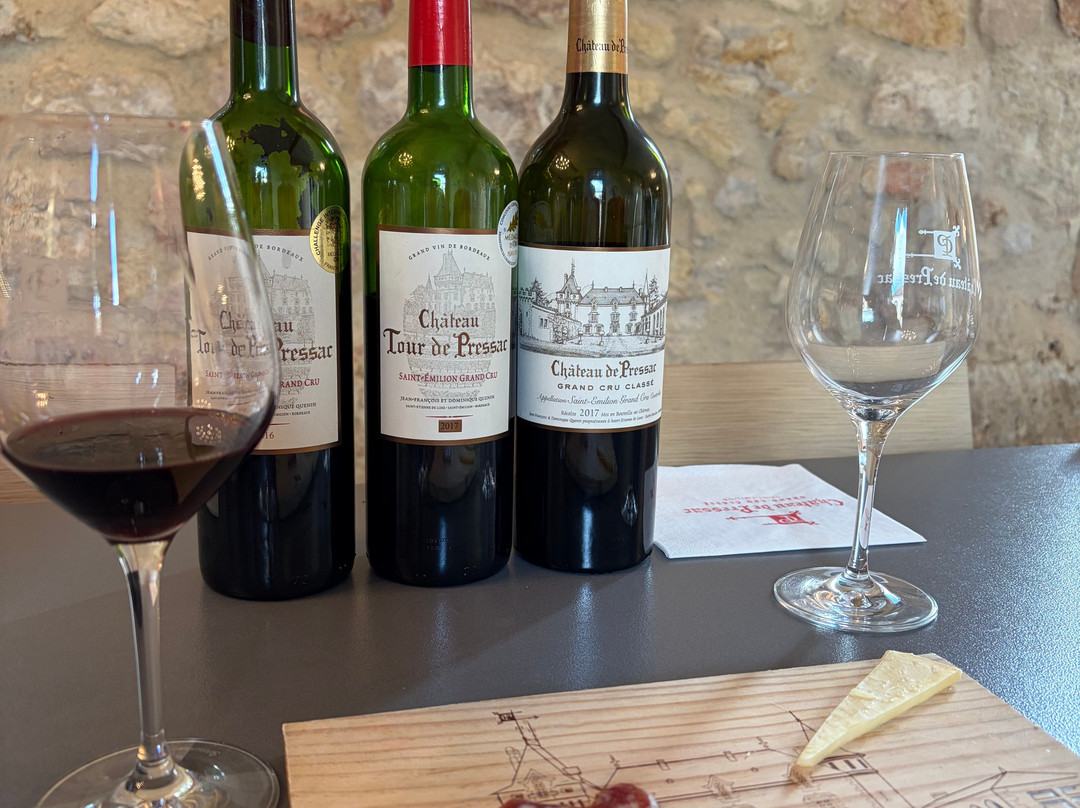 Château de Pressac-Saint-Etienne-De-Lisse必去景点