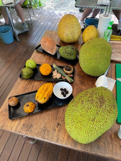 Cape Trib Exotic Fruit Farm-Cape Tribulation必去景点