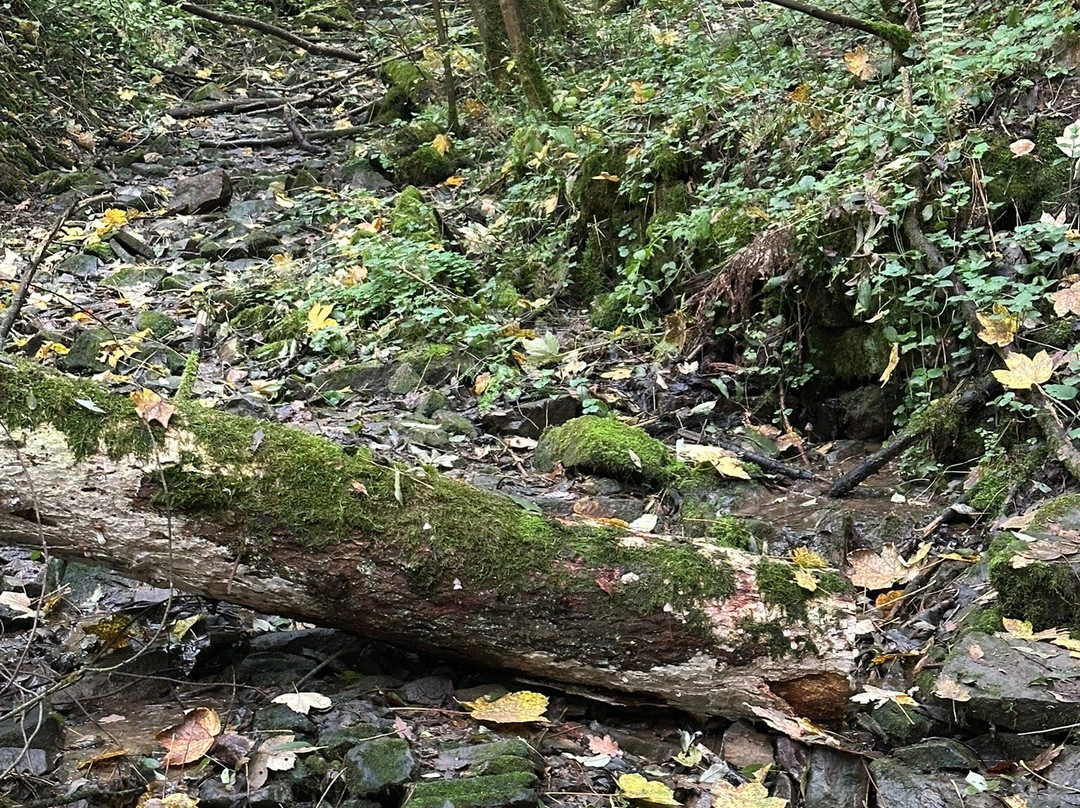 Magische Heimbach - Wanderung-Meisenheim必去景点