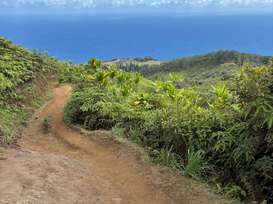 Waiheʻe Ridge Trail-Waihee必去景点