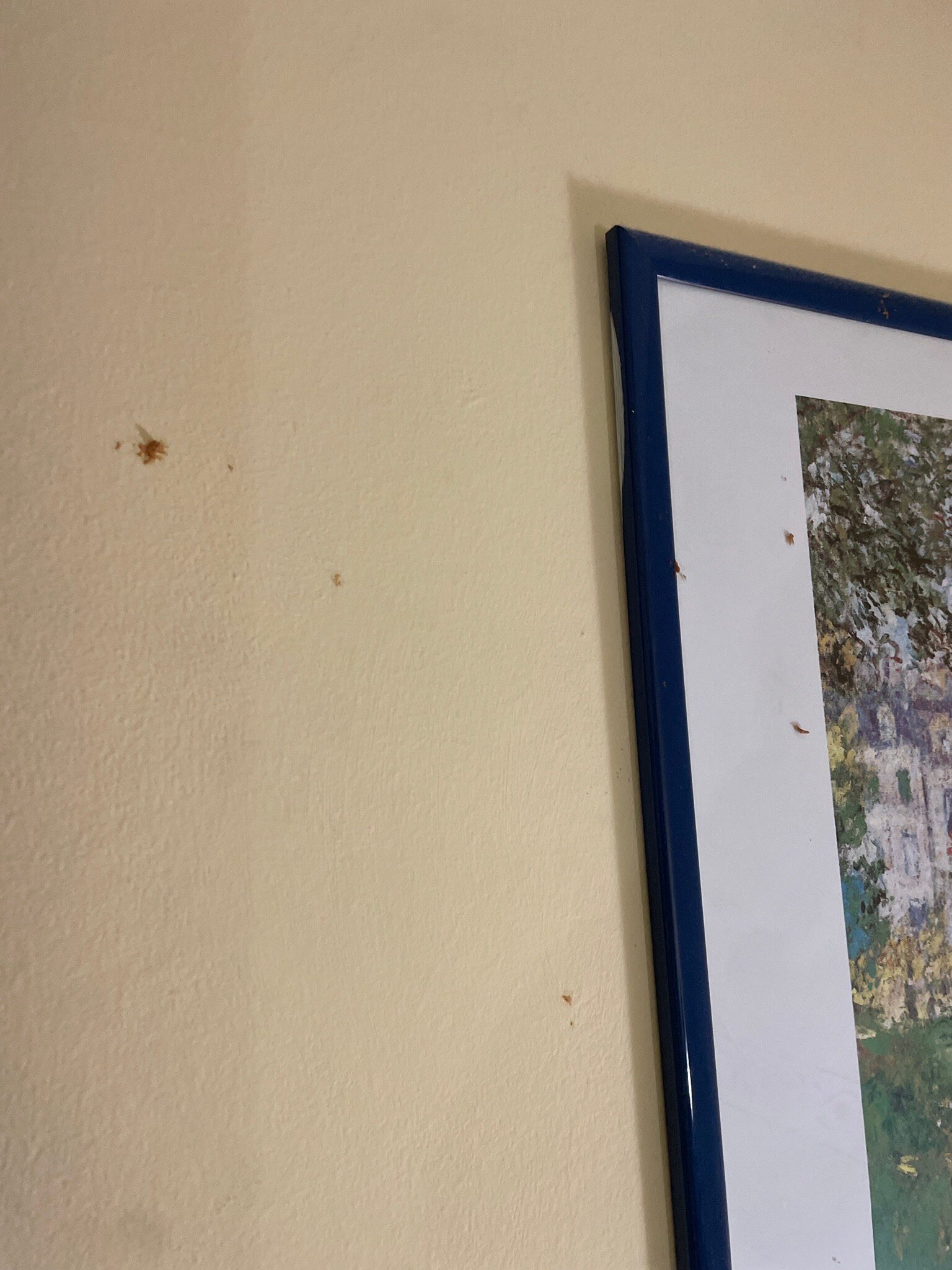 Hotel San Pietro Beach-官方