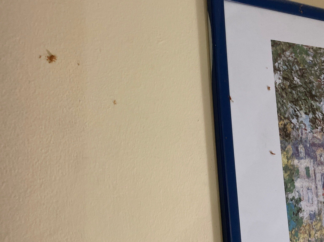 Hotel San Pietro Beach主图