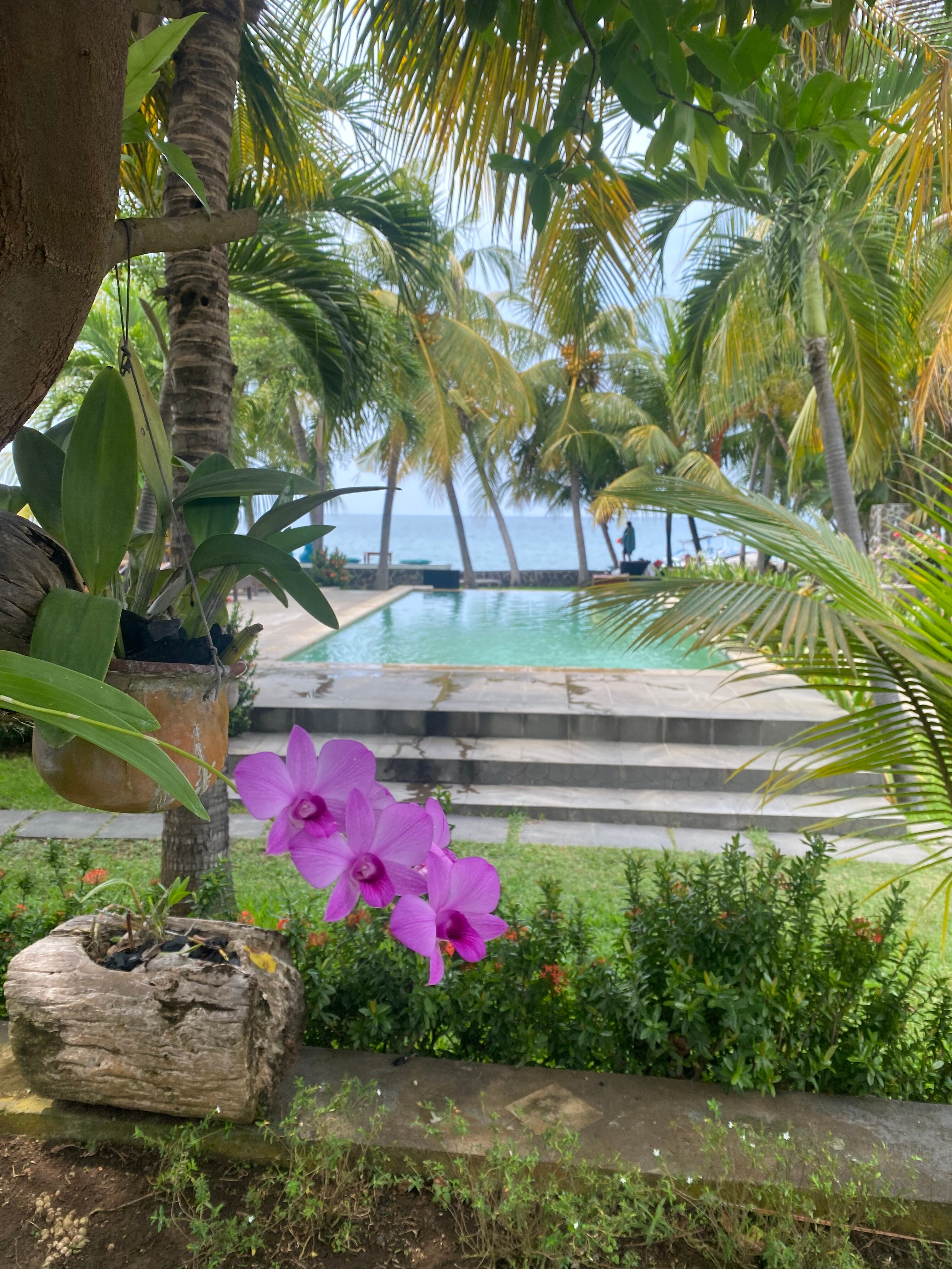 1000 Dream Bungalow-浴室