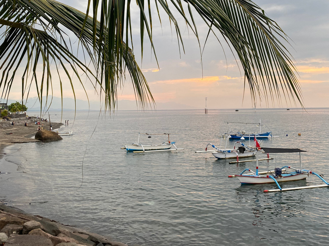 1000 Dream Bungalow主图