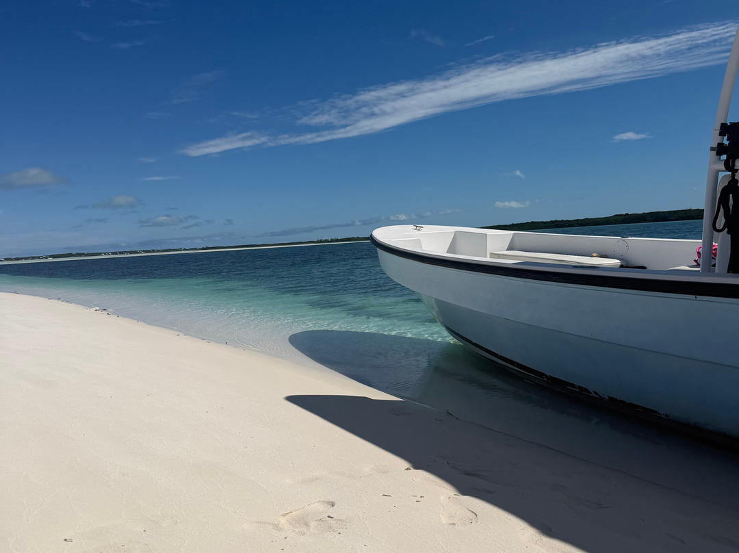 Da Salty Pig Adventures-Spanish Wells必去景点