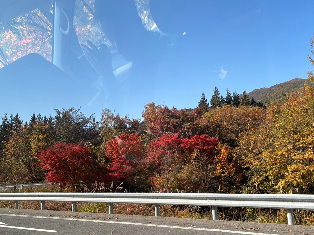 华严瀑布-日光市必去景点