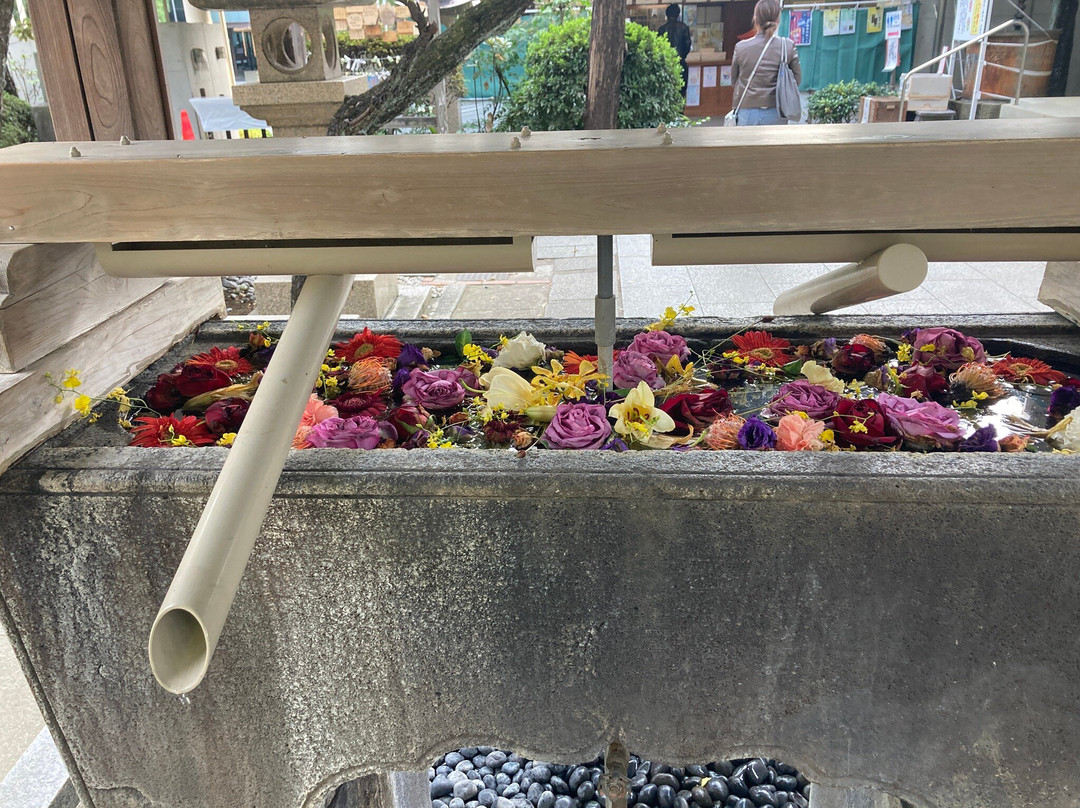 Hatomori Hachiman Shrine-Sendagaya必去景点