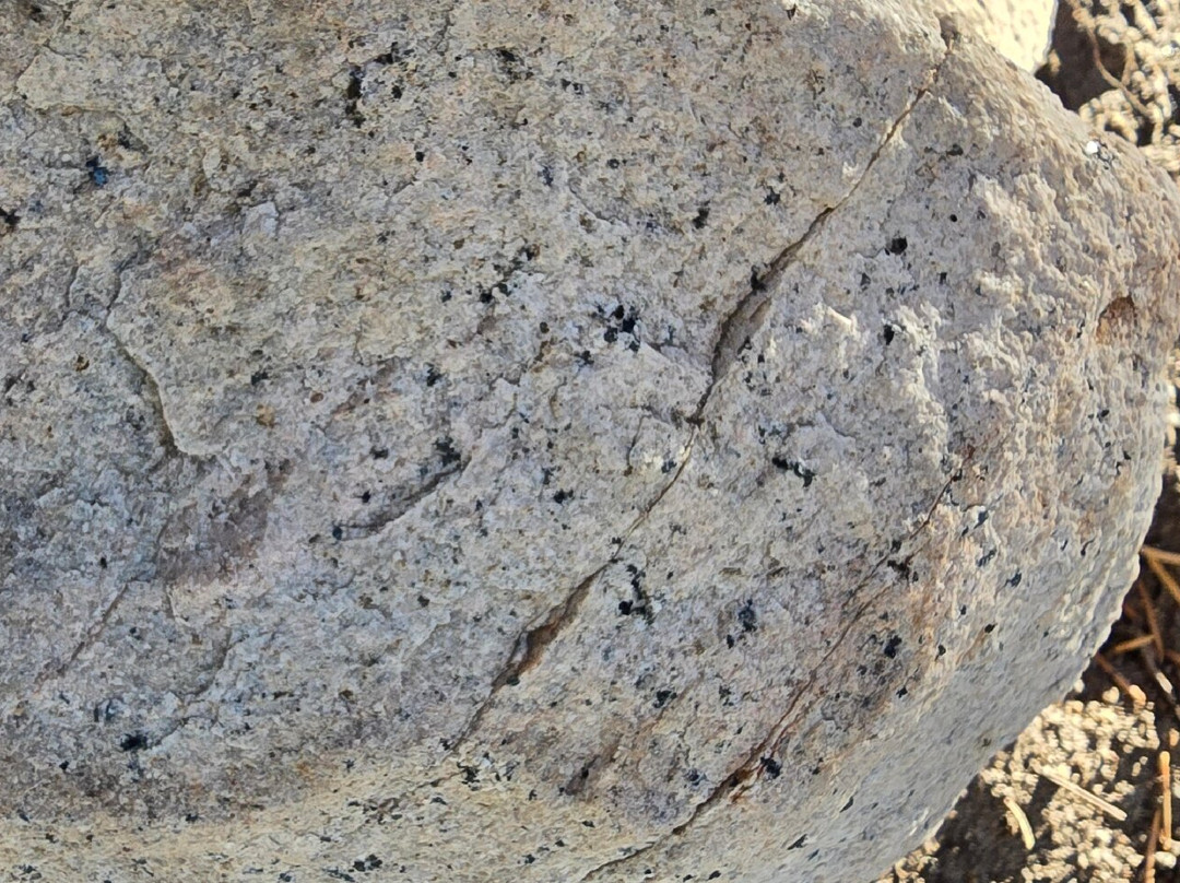 Van Sickle Bi-State Park-南太浩湖必去景点