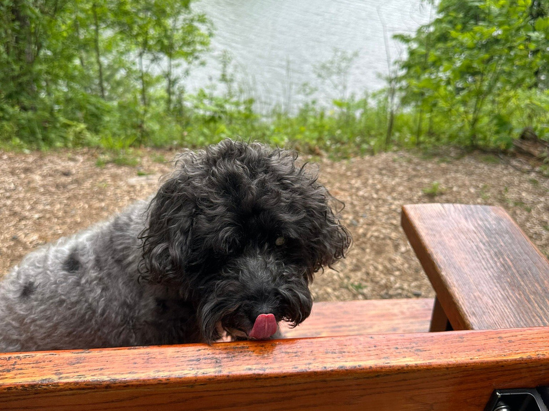 Shaver's Creek Environmental Center-Petersburg必去景点