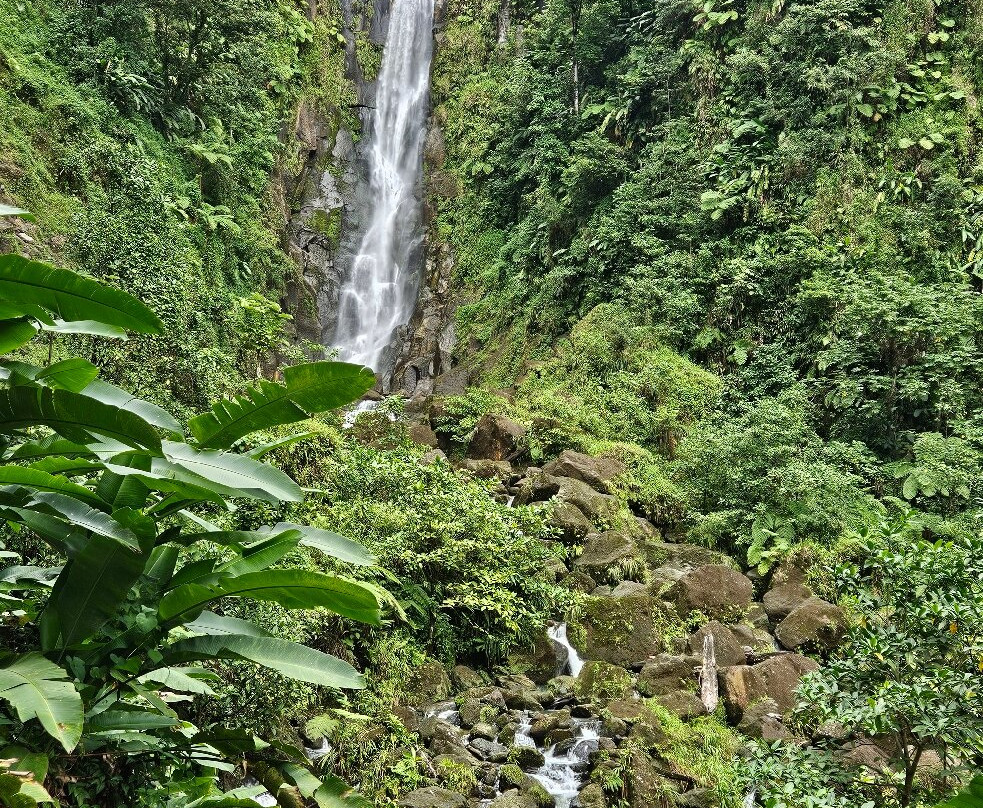 Trafalgar Falls-Morne Trois Pitons National Park必去景点
