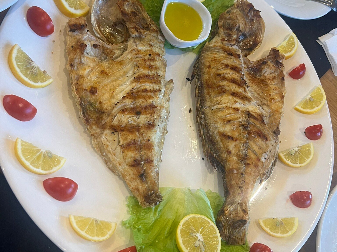 Fish City Rozafa Maliq