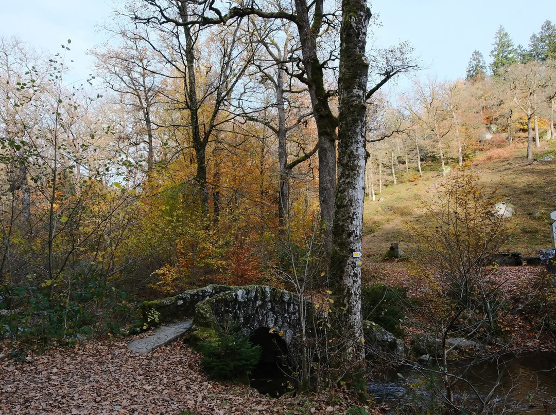 Reserve Naturelle de la Roche a l'Appel-Florenville必去景点