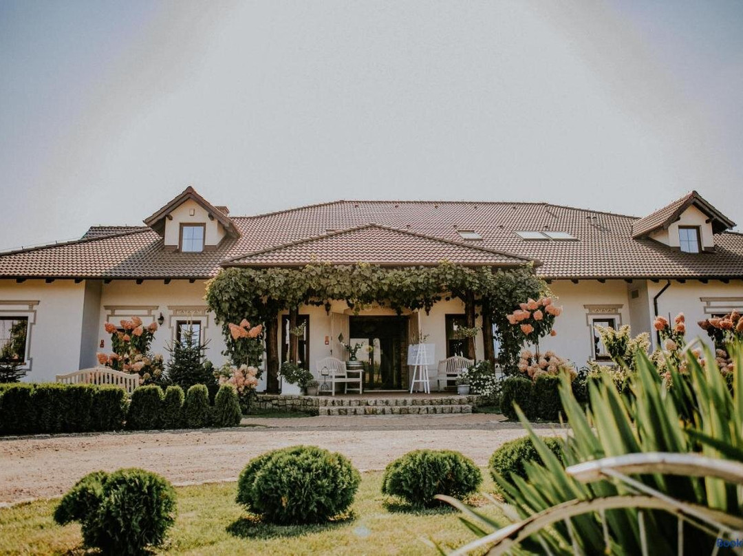 Gosciniec Winnica主图