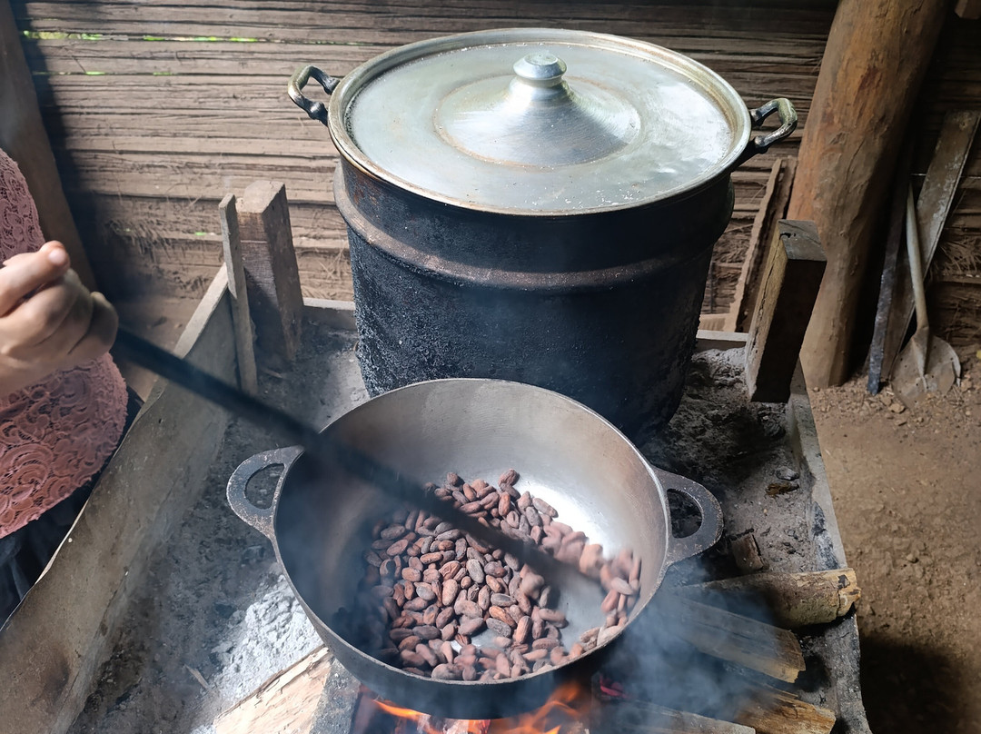 Abel Bustamante - Tour Guide-Manzanillo必去景点