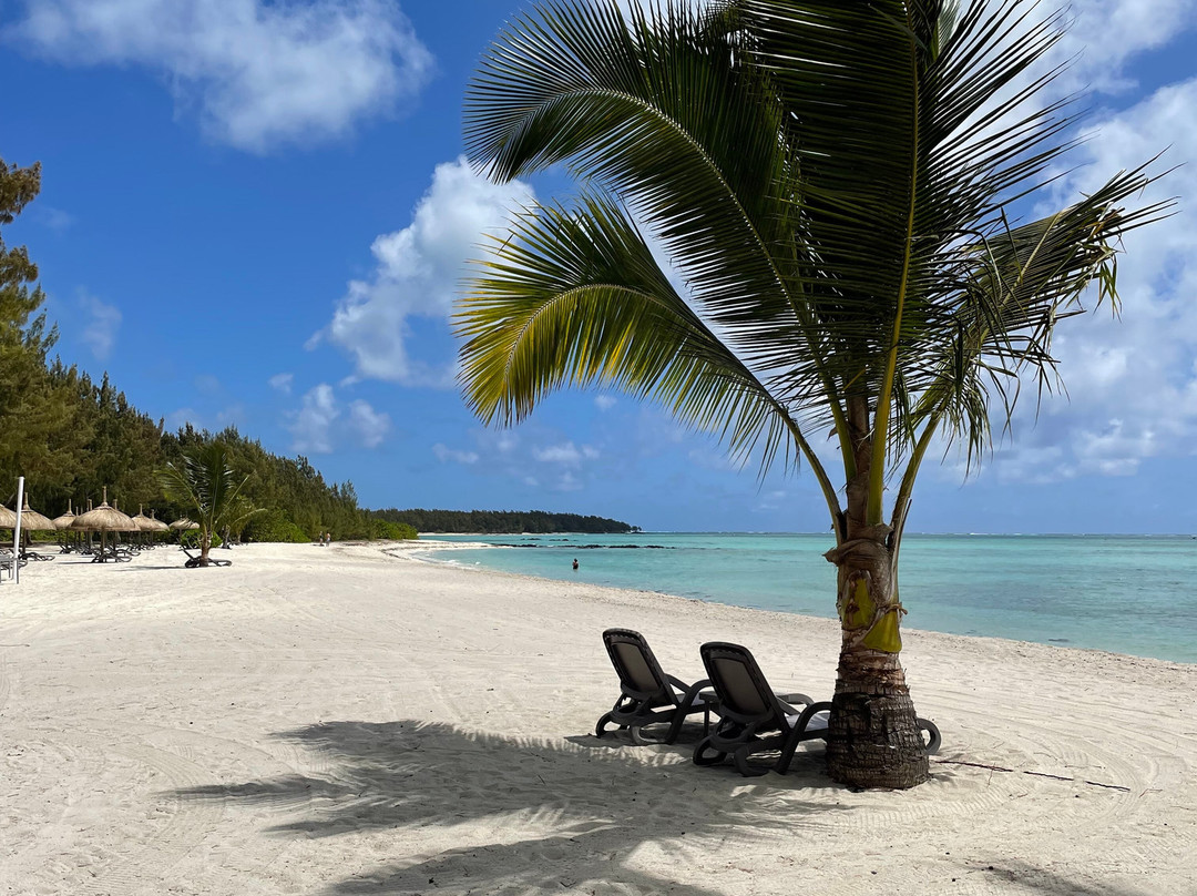 Paradisio Excursions Ile Maurice-大湾必去景点