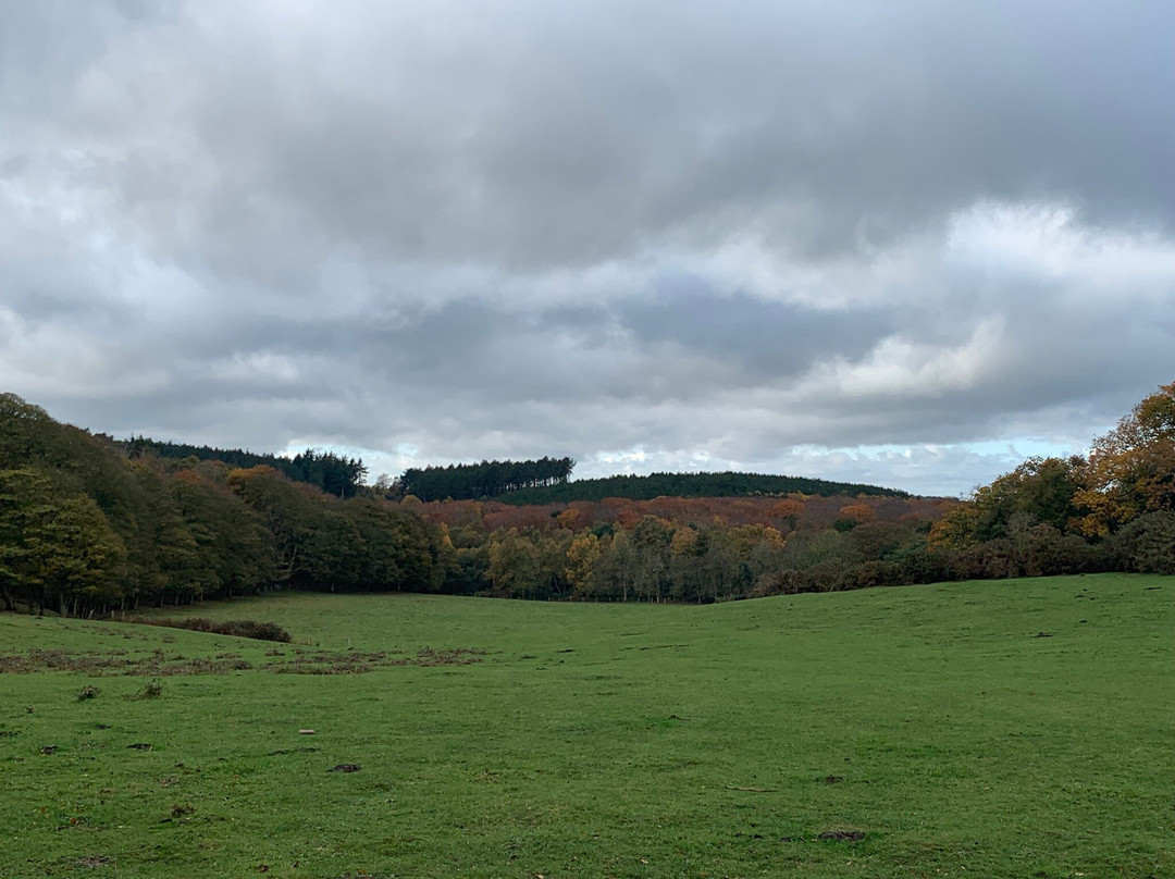 Sheringham Park-Sheringham必去景点