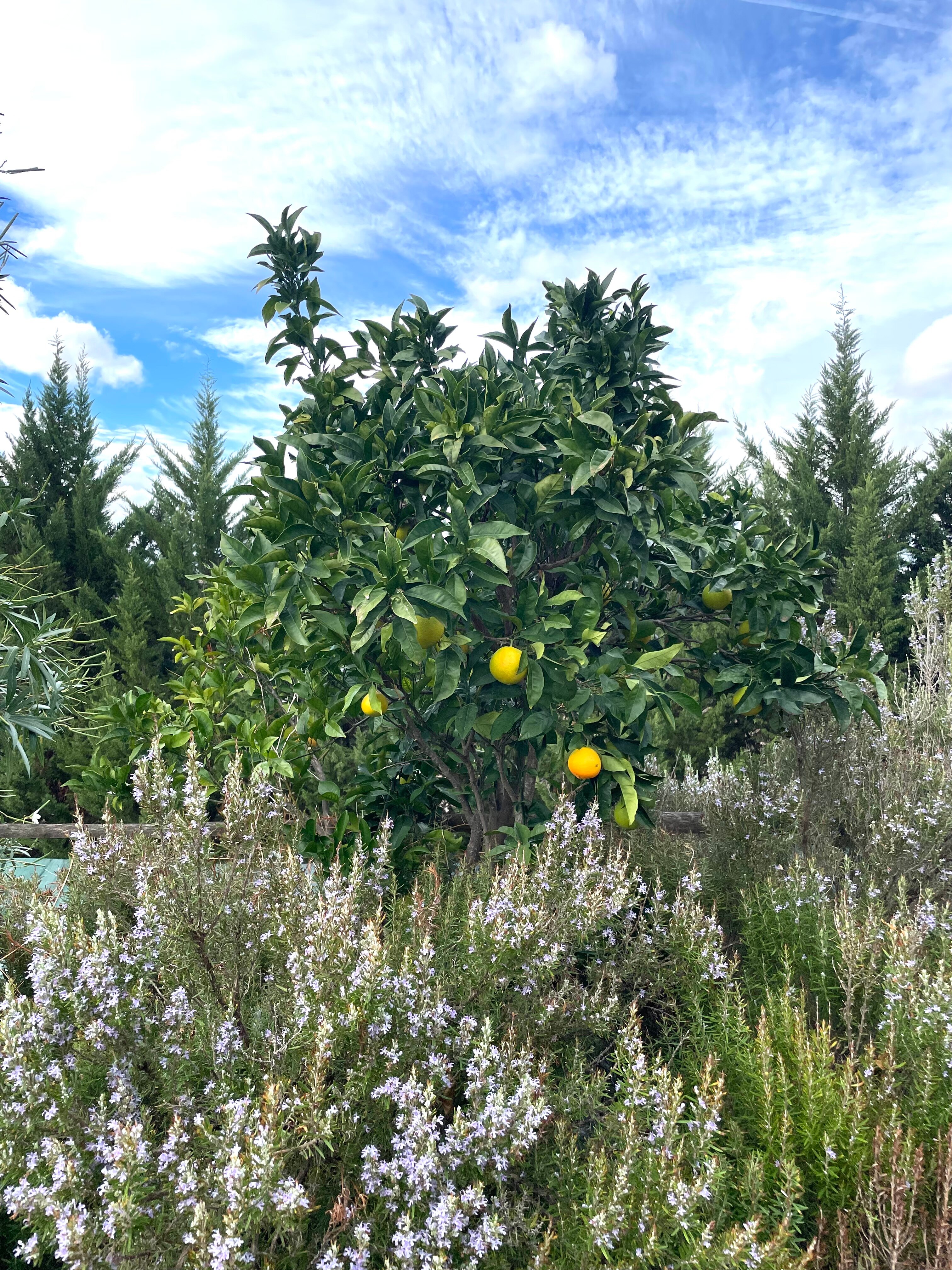 Hotel Quinta do Silval-浴室