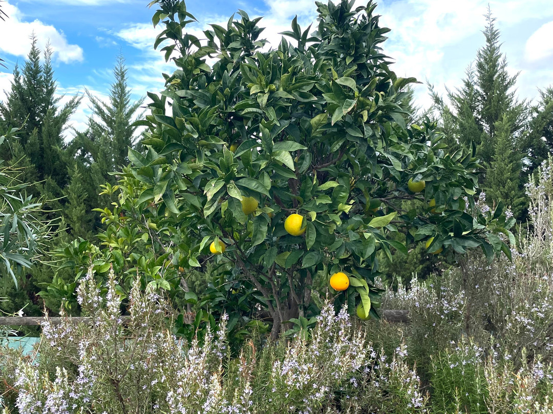 Hotel Quinta do Silval主图