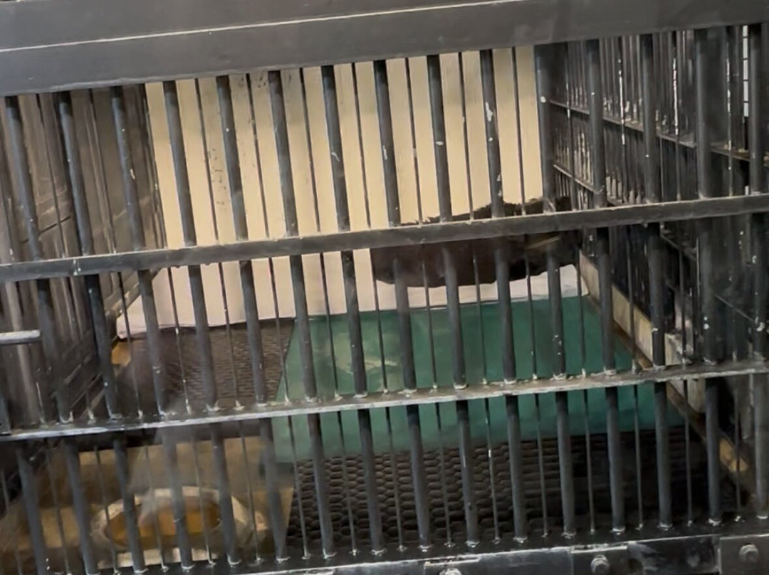 神户市立王子动物园-神户市必去景点