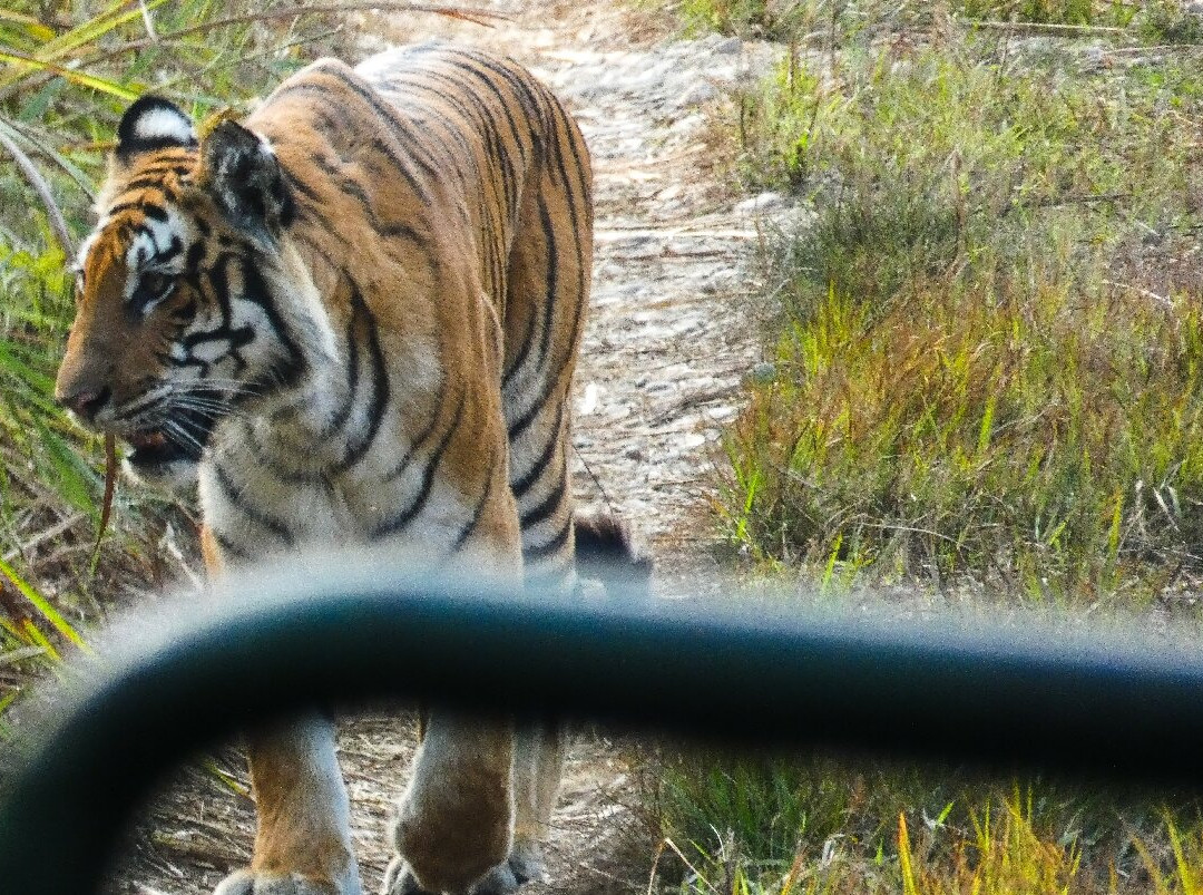 Chitwan National Park-苏拉哈必去景点
