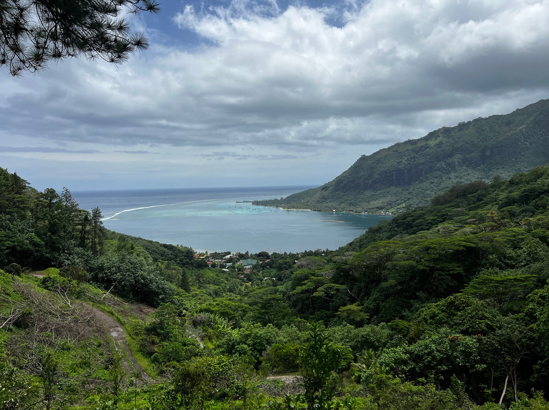 莫雷阿岛ATV之旅-莫雷阿岛必去景点
