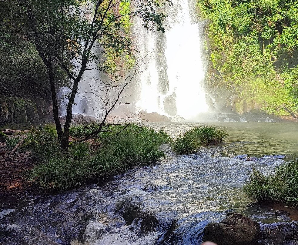 Cachoeira do Chicão-Palma Sola必去景点
