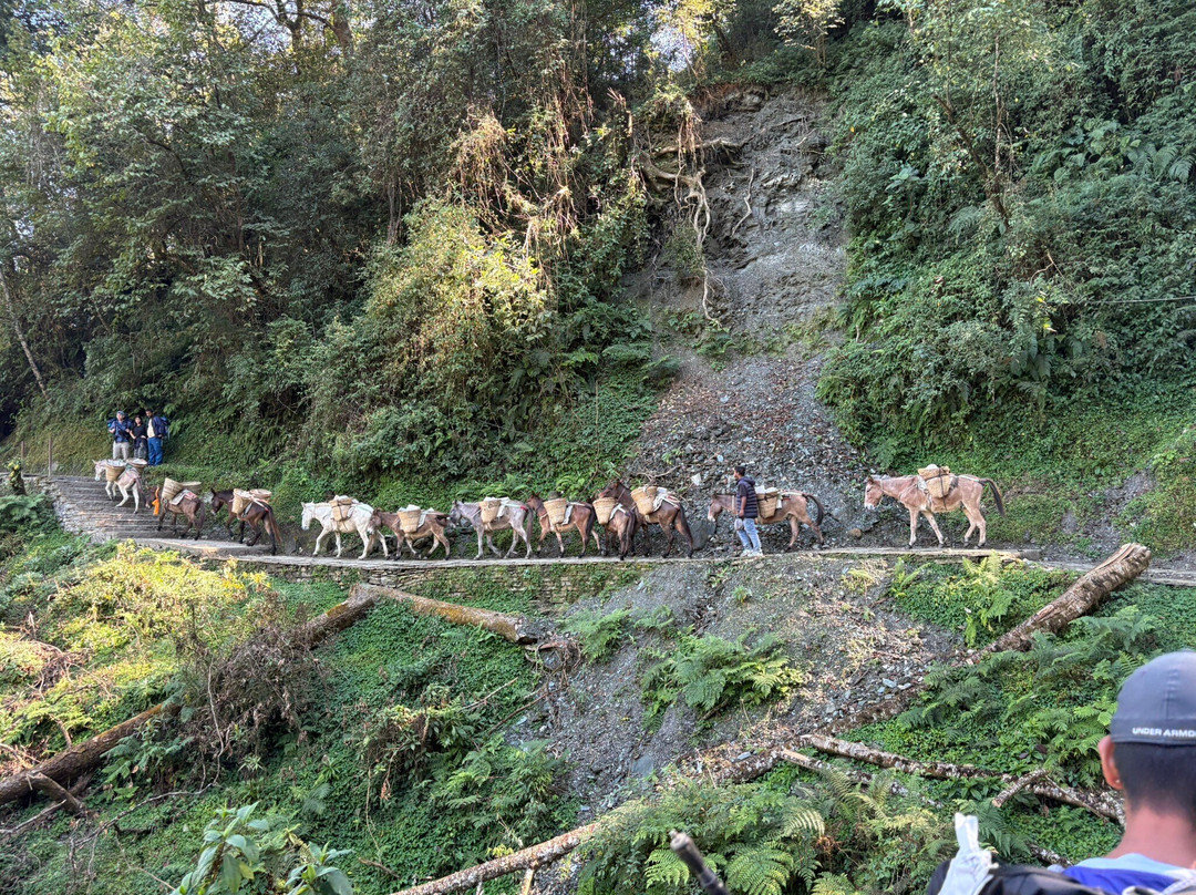 Royal Himalayan Treks-Budhanilkantha必去景点