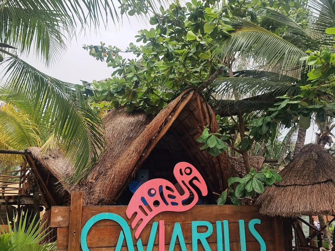 Costa Maya Cruise Port-Mahahual必去景点