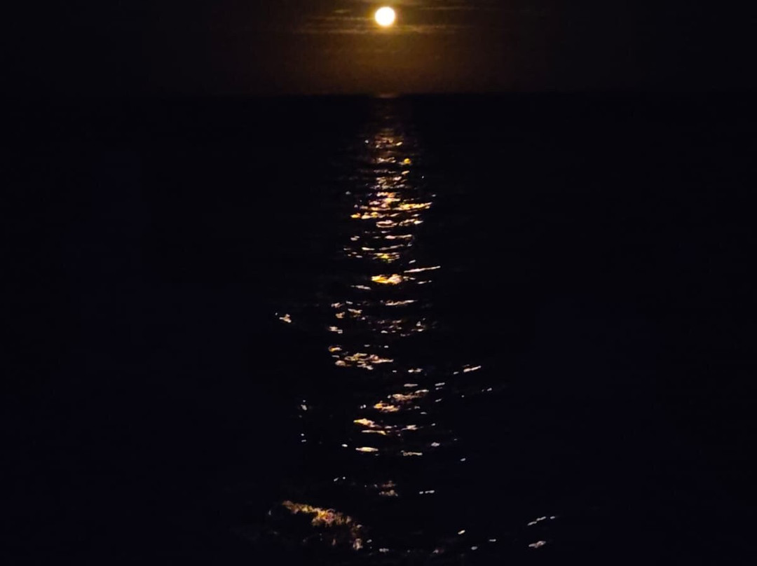 Diversity Charters-布鲁姆必去景点