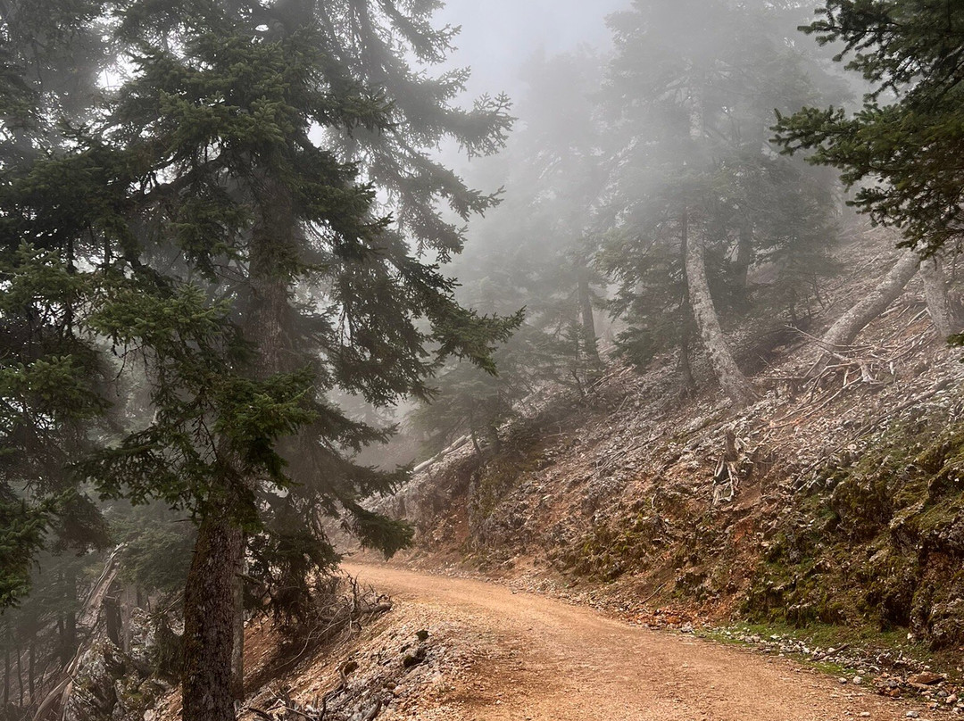 Mount Ainos National Park-凯法利尼亚岛必去景点