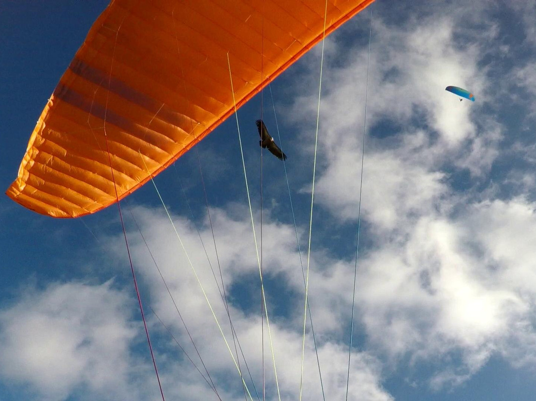 FlySpain Paragliding Centre-Algodonales必去景点