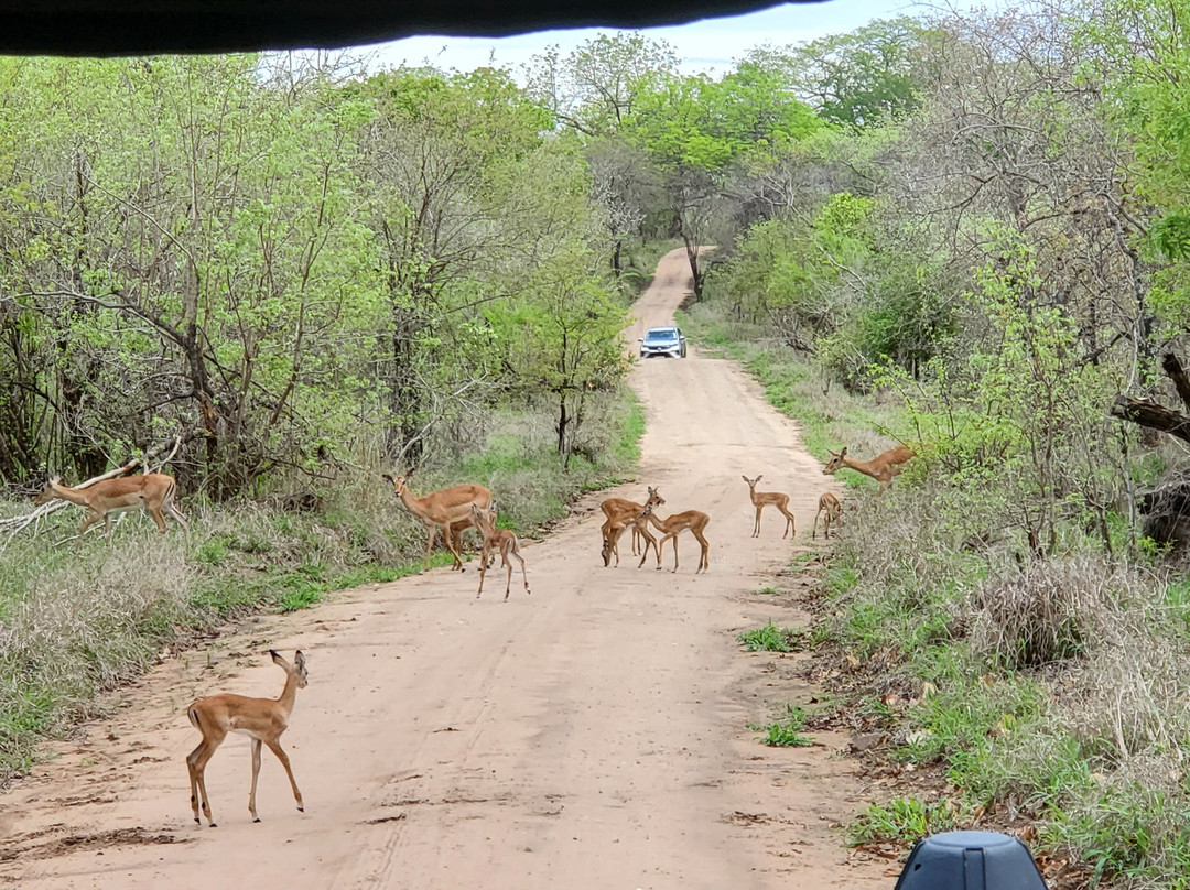 The Adventures Feet-布兰岱必去景点