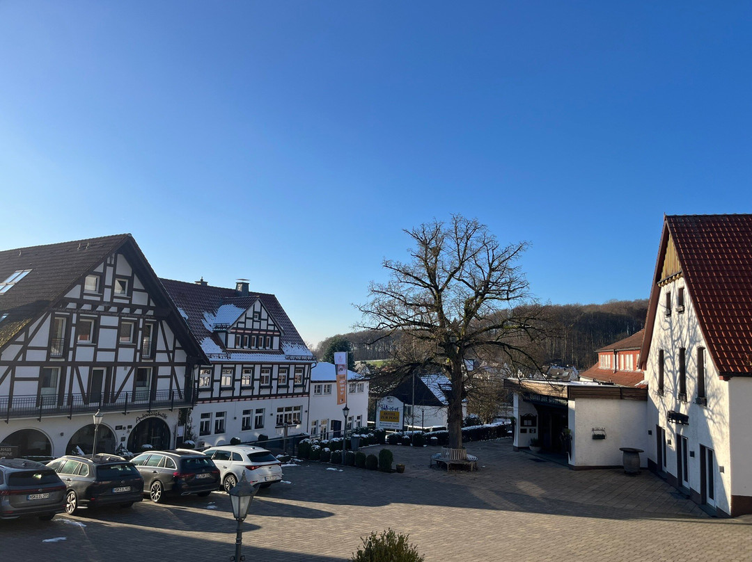 Langscheid酒店住宿-Hotel Zur Post